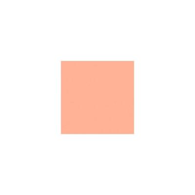 Rosco 04 Roscolux Medium Bastard Amber, фильтр 20x 24 #100000042024