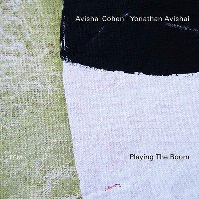 Avishai Cohen & Yonathan Avishai Playing the Room (CD) Album