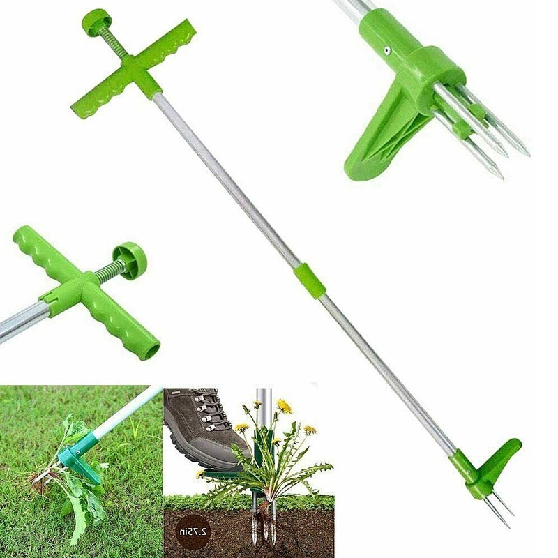 Unkraut-Stecher LÃ¶Wenzahnstecher Unkrautenferner Unkraut Ausstecher Entferner
