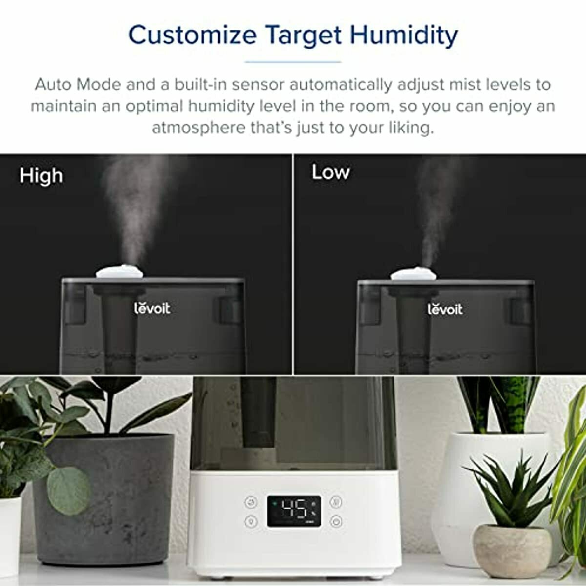 Large Humidifier for Bedroom Capacity Big 6 L 6liter Six Liter Room Top Fill A