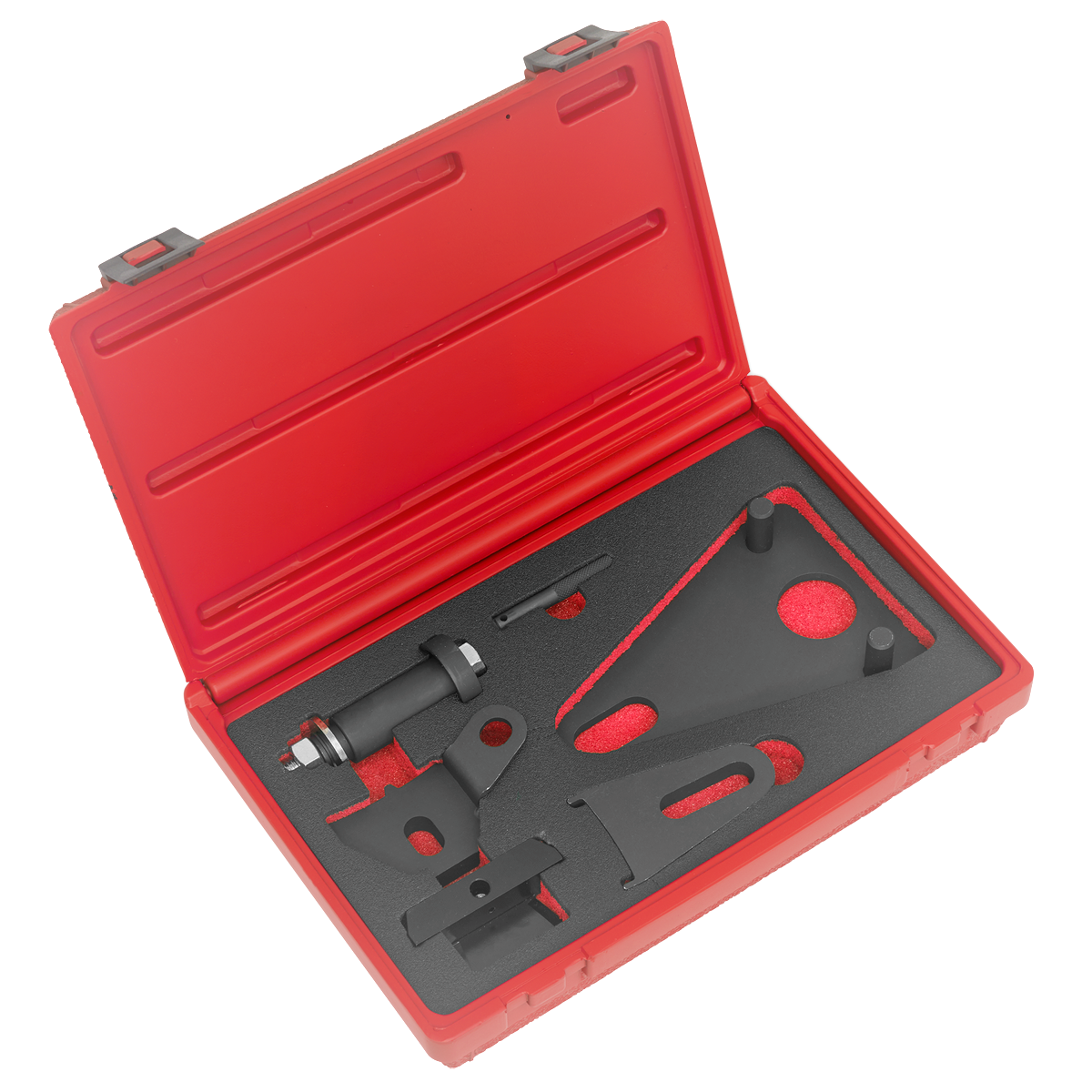 Sealey Renault Nissan Front Pulley & Flywheel Locking Tool Set Fits M9R