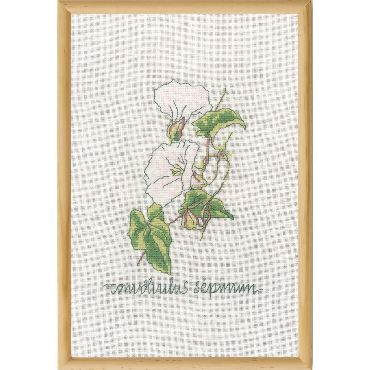 Kit De Point De Croix Permin Lysimachia - 20x30cm - Modèle à Compter 70-1831
