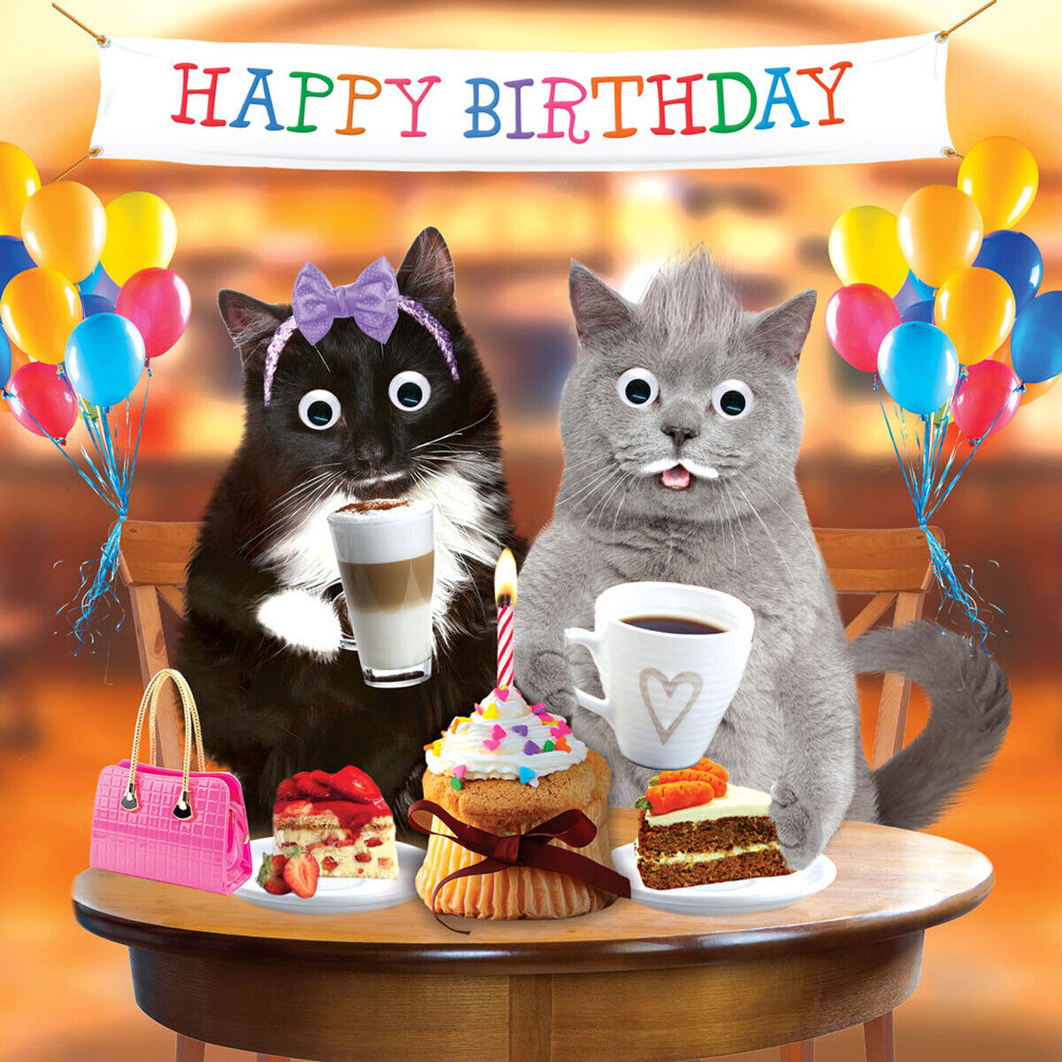 happy-birthday-with-cats-images-cat-meme-stock-pictures-and-photos