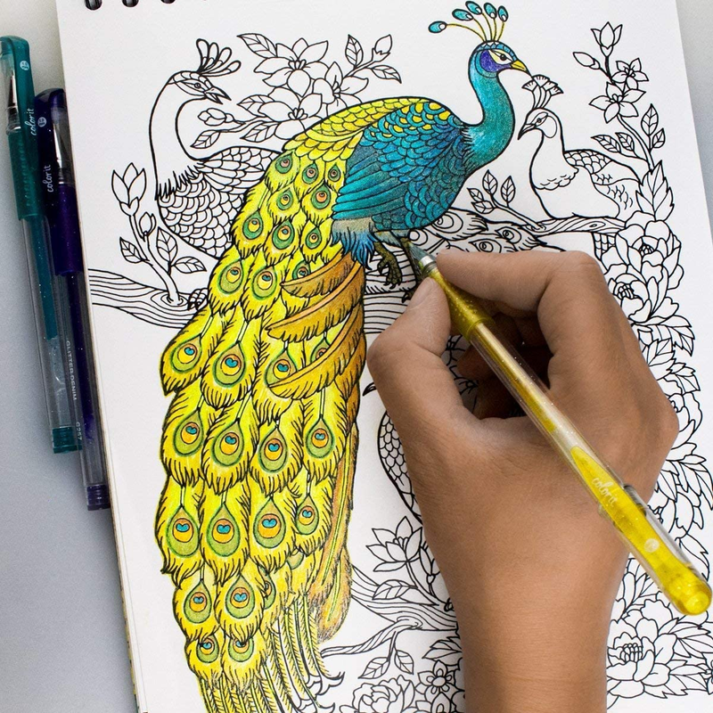 Gel Pens for Adult Coloring Books 96 Pack - 48 Premium Quality Gel Pens and Gel