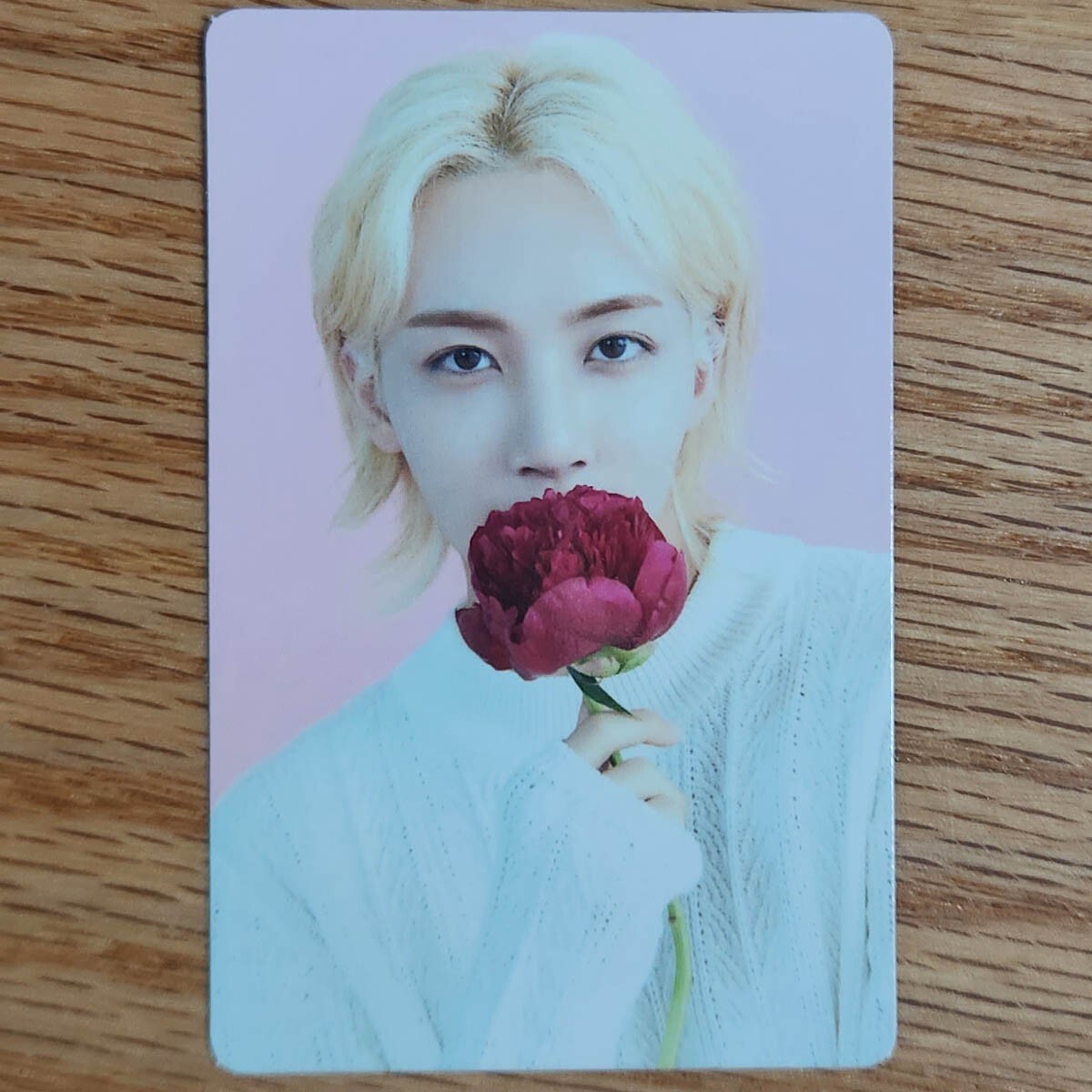 Jeonghan Official Photocard Seventeen Cafe In Seoul Trading
