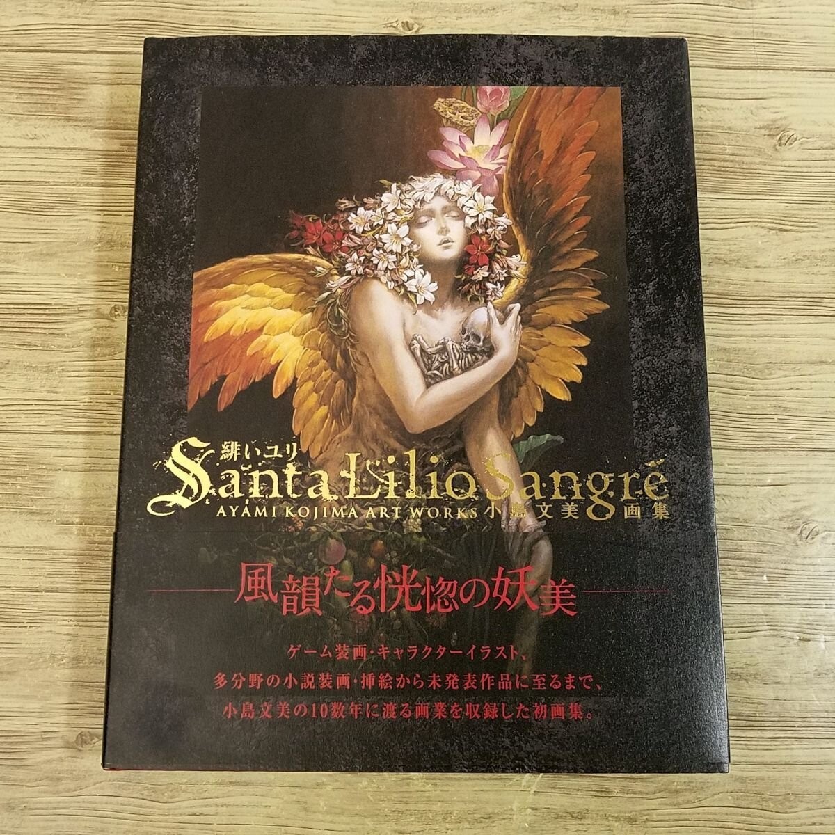 小島文美 画集 緋いユリ Santa Lilio Sangre Santa Lilio Sangre緋いユリ / 小島 文美【著