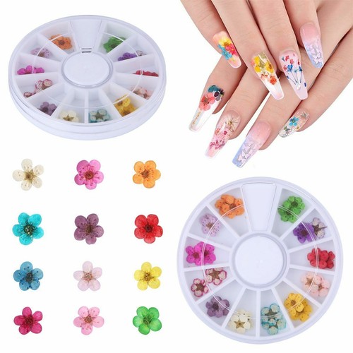 500pc False Nail Tips Full Cover 12 Colors Dried Flower UV Gel Nails Acrylic DIY