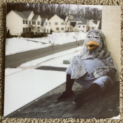 The Wonder Years Suburbia I've Given You All And Now I'm Nothing Album LP Blue
