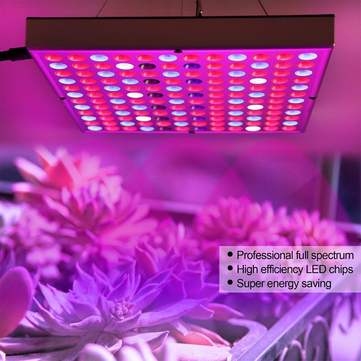 Full Spectrum Samsungled For Indoor Veg Bloom