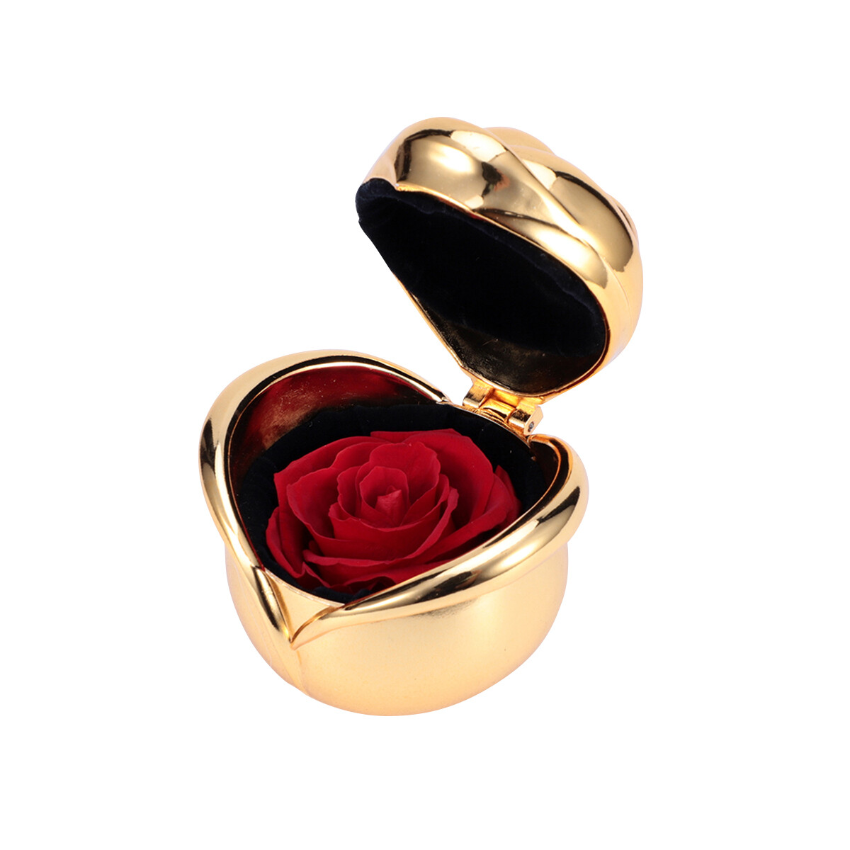 Preserved Rose Box Real Flowers Romantic Birthday Gift Wedding Anniversary Gift