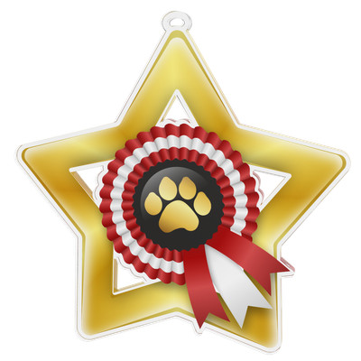 *MEDAL SALE'' BOX OF 50x DOG PAW SHOW GOLD STAR ACRYLIC MEDALS 