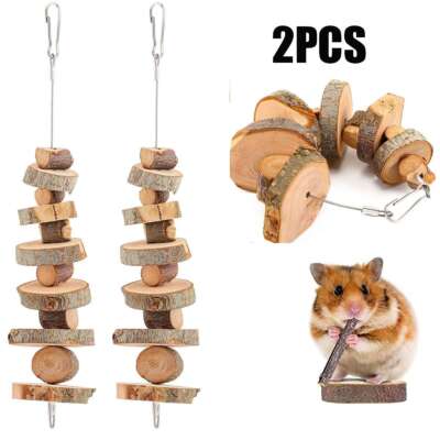 2Pack Bunny Chew Toys for Teeth, Natural Chew Sticks Rabbit Toys for Rabbits
