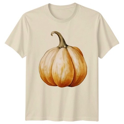 Hello Fall Pumpkin Spice And Everything T-Shirt Harvest Thanksgiving