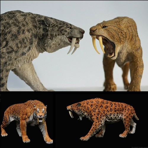 REBOR Smilodon Populator Stray Cat Model Machairodus Animal REBOR Smilodon Populator Stray Cat Model Machairodus Animal