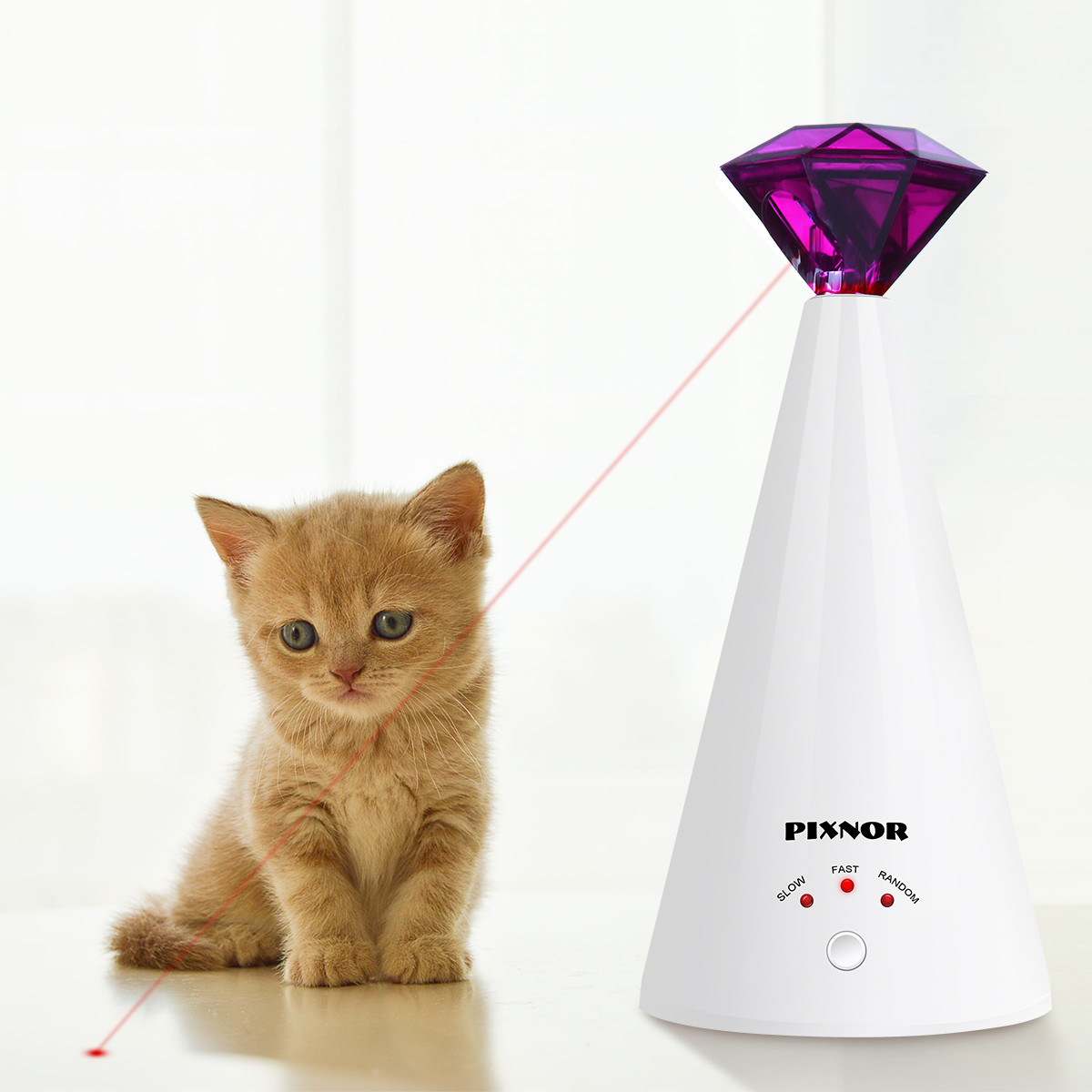 automatic cat laser pointer