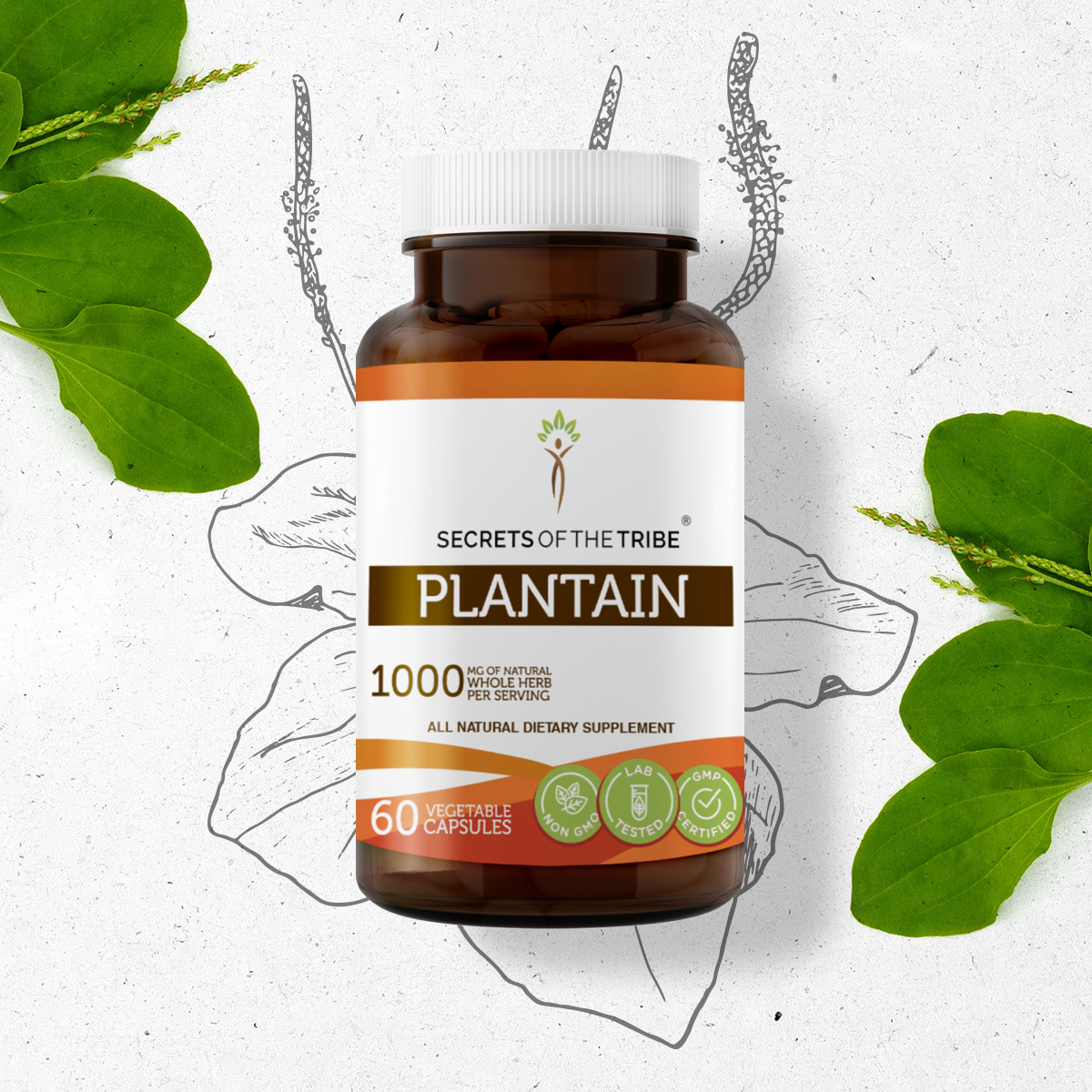Secrets Of The Tribe Plantain Capsules, 500 mg