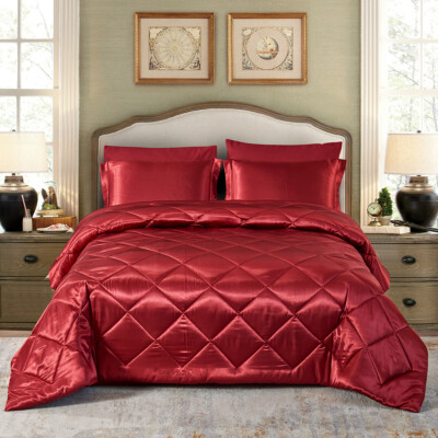 Silky Satin Comforter Set 8 Pieces Bed in A Bag Soft Luxury Quilted Bedding Sets