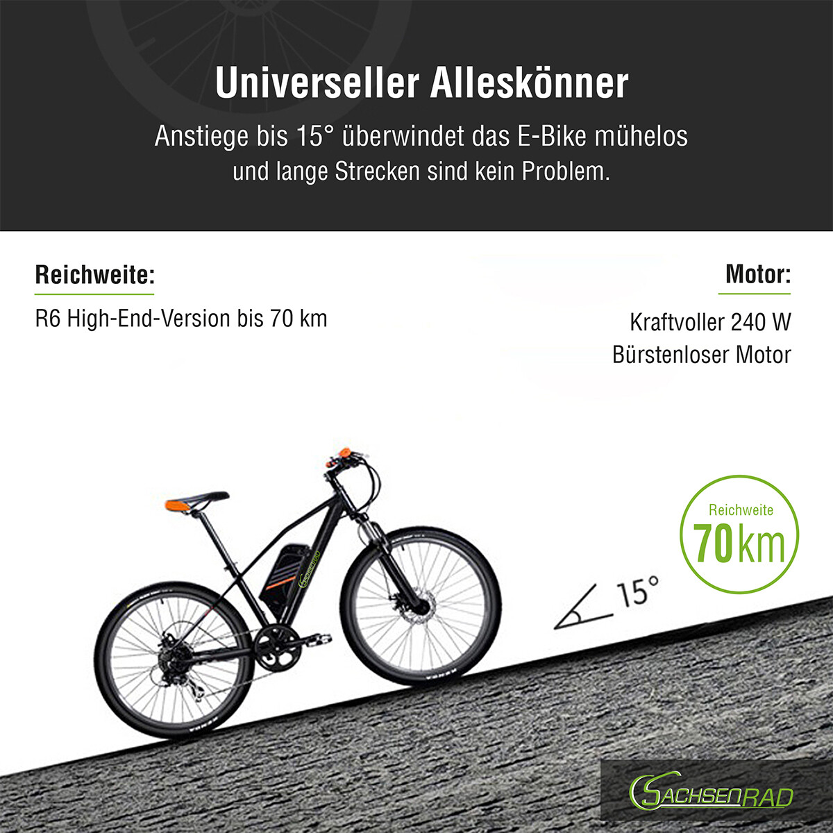 SachsenRad ERacing Bike R6 26 EMTB Mountainbike EBike 36V 8.8Ah 