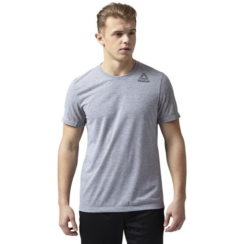 

[AP4259] Мужская футболка Reebok Supremium для тренировок, Серый
