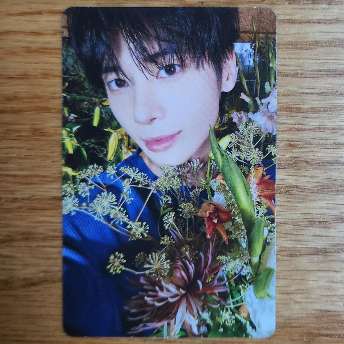 Taehyun Official Photocard TXT The Star Chapter : Sanctuary