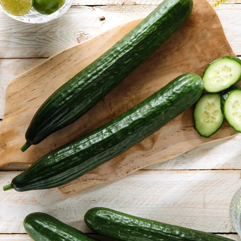 Salatgurke Tanja Samen - Cucumis Sativus - Gurkensamen