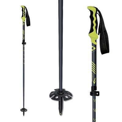 masters ski poles