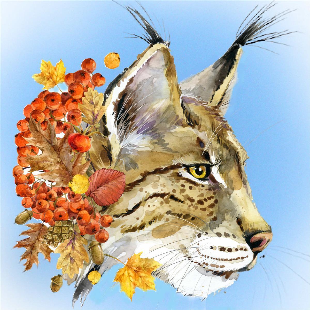 CdA Diamond Embroidery Kit 