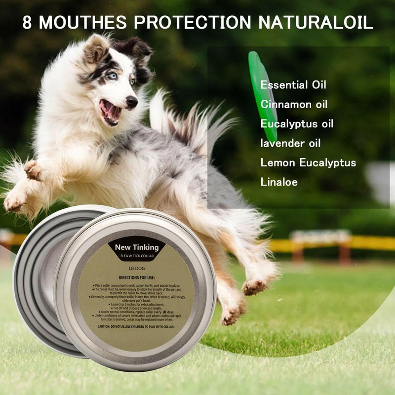 FlohUnd Zeckenhalsband Für Kleine Katzen Hund Anti Insekt 8 Monate