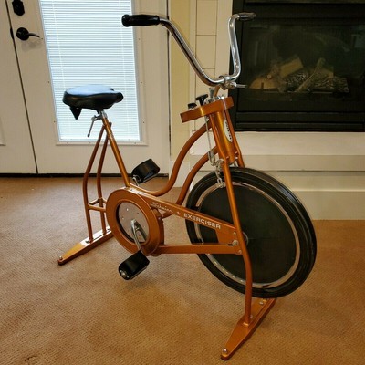 rochelle rode a stationary bicycle