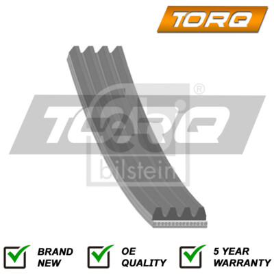 Alternator Power Steering Belt Torq Fits Fiat 500 Punto Panda Grande 71719738