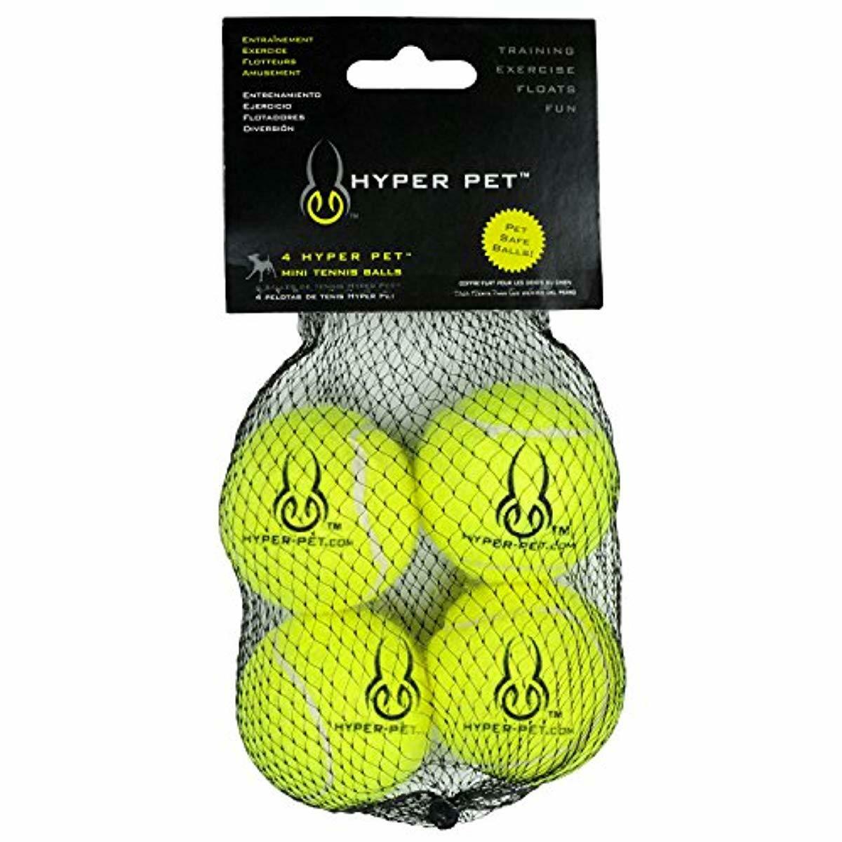 What Balls Are Safe For Dogs?