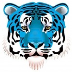 tigerblue-77