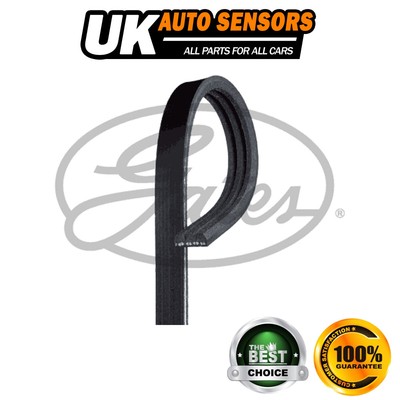 Fits Chrysler Voyager Honda Jazz Gates V-Ribbed Belts -8193