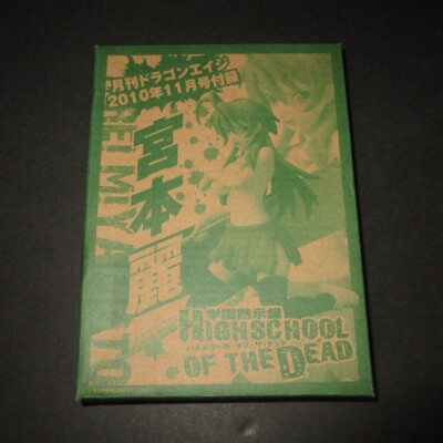 Rei Miyamoto Mini Figur Anime Highschool of the Dead Chara-ani aus Japan