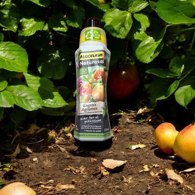 Algoflash Flüssigdünger für Zitrus- und Mittelmeerpflanzen 500 ml