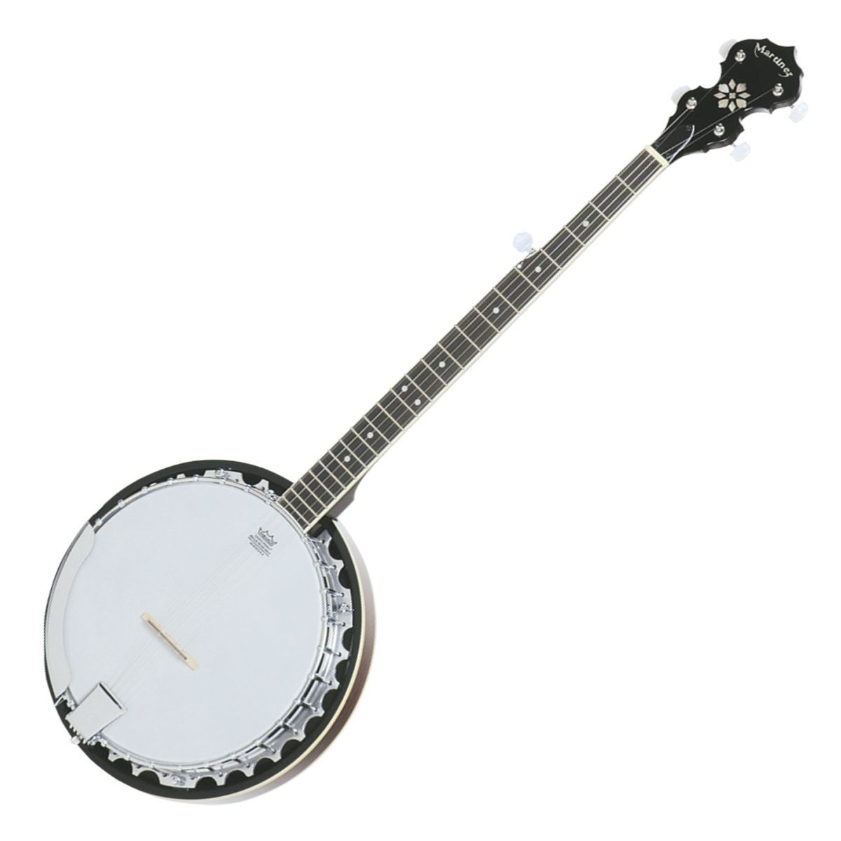 String Banjos 5 for sale Shop with Afterpay eBay