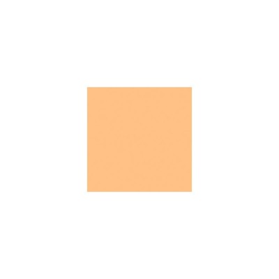 Rosco 9 Roscolux Pale Amber Gold, 20x24 Color Effects #100000092024