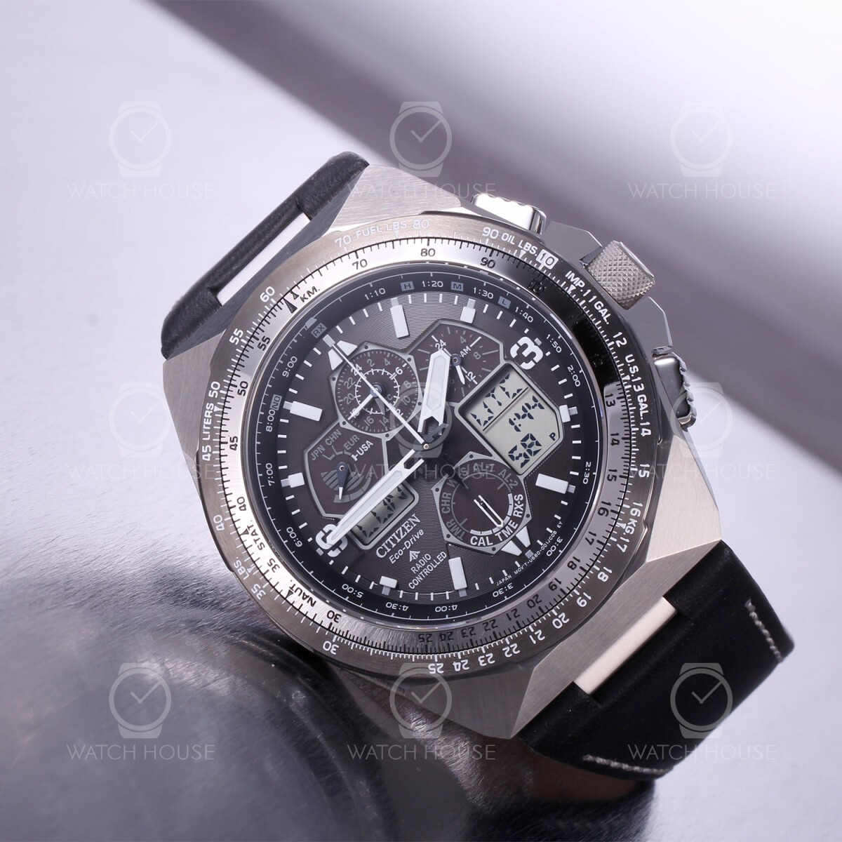 Citizen Promaster Sky ...