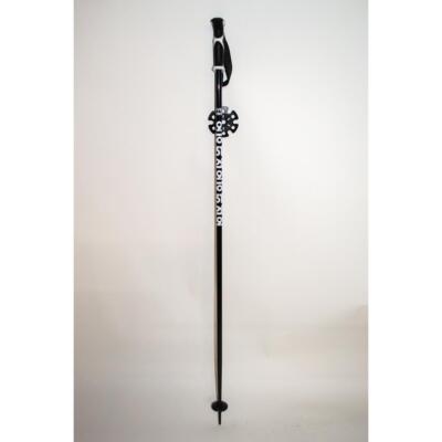 Defiance L9 Sports Ski Poles 2024