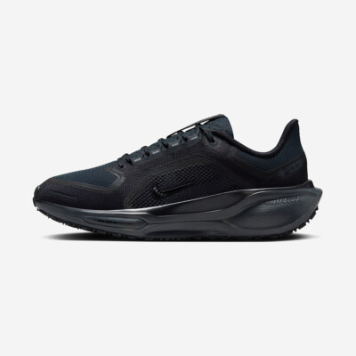 Женская обувь Nike W Air Zm Pegasus 41 Gtx FQ1357-001