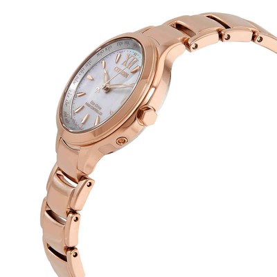 Pre-owned Citizen Eco-drive Perpetual World Time Ladies Watch Ec1173-87d