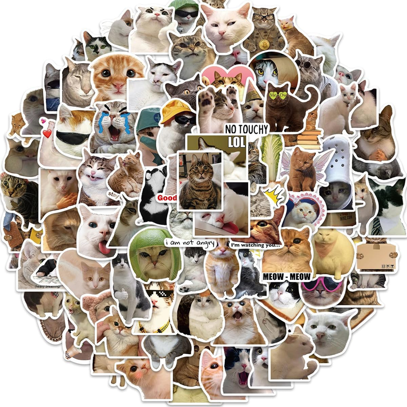100PCS Cat Meme Stickers for Teen, Vinyl Stickers for Water Bottles, Laptops, Sc