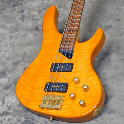 Bass Washburn Bass 2