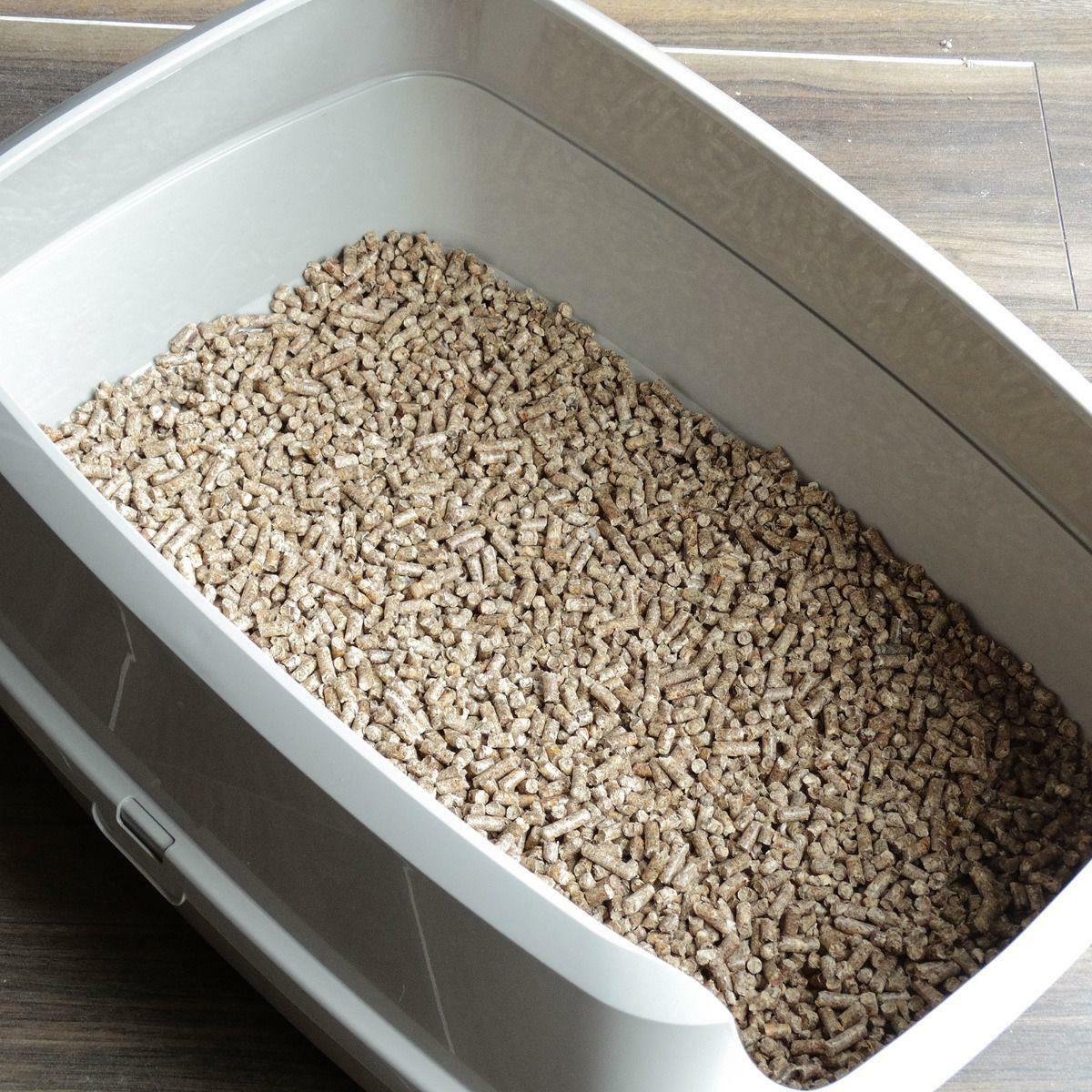 Pine Pellets Cat Litter Box Cat Meme Stock Pictures and Photos