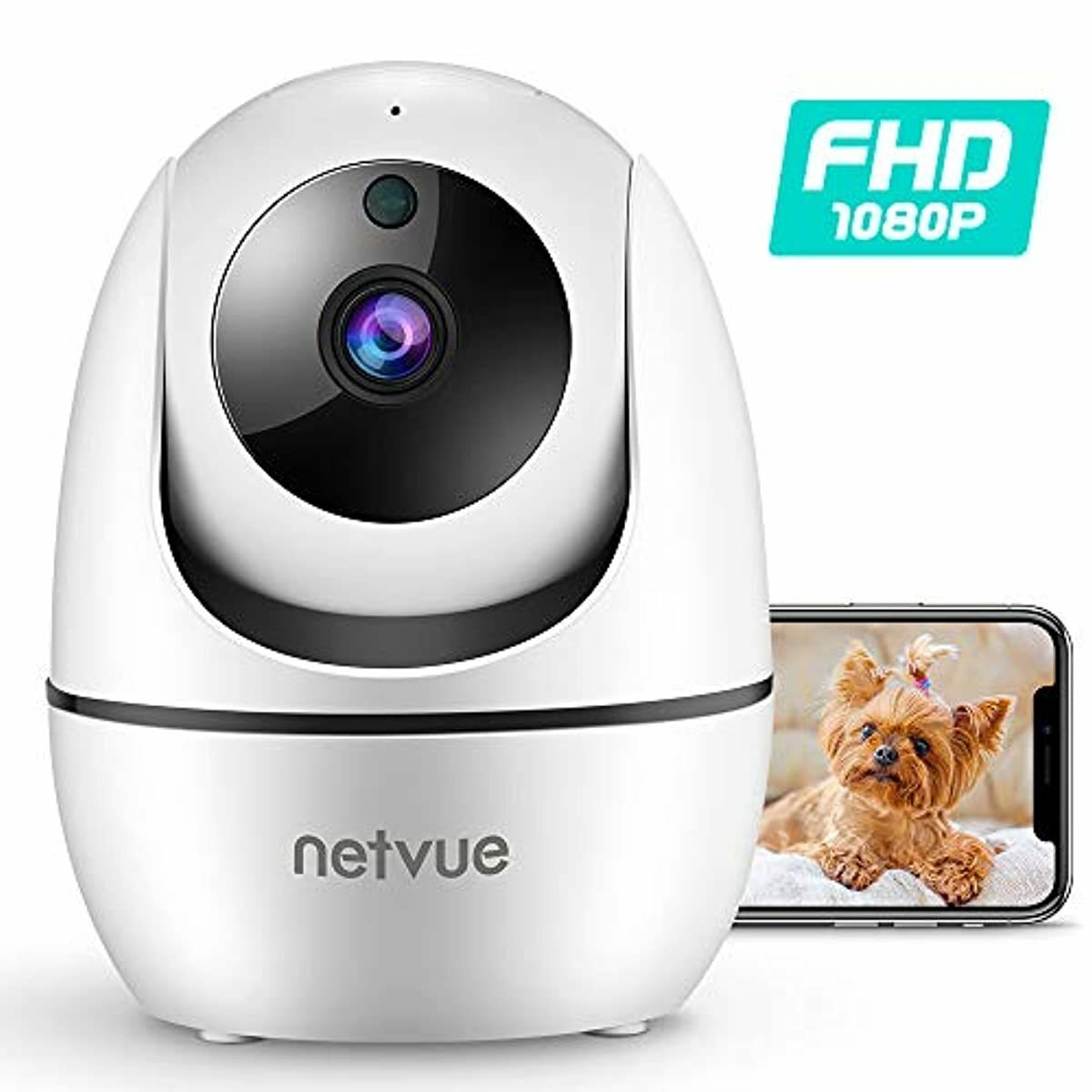 Netvue app for pc