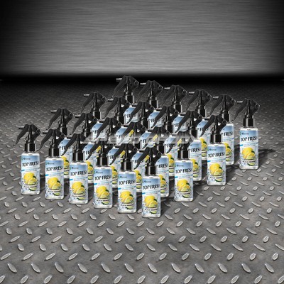 ОСВЕЖИТЕЛЬ ВОЗДУХА X24 TREEFROG BLACK SQUASH С АРОМАТОМ ЧЕРНОЙ ТЫКВЫ ДЛЯ ОФИСА/ДОМА