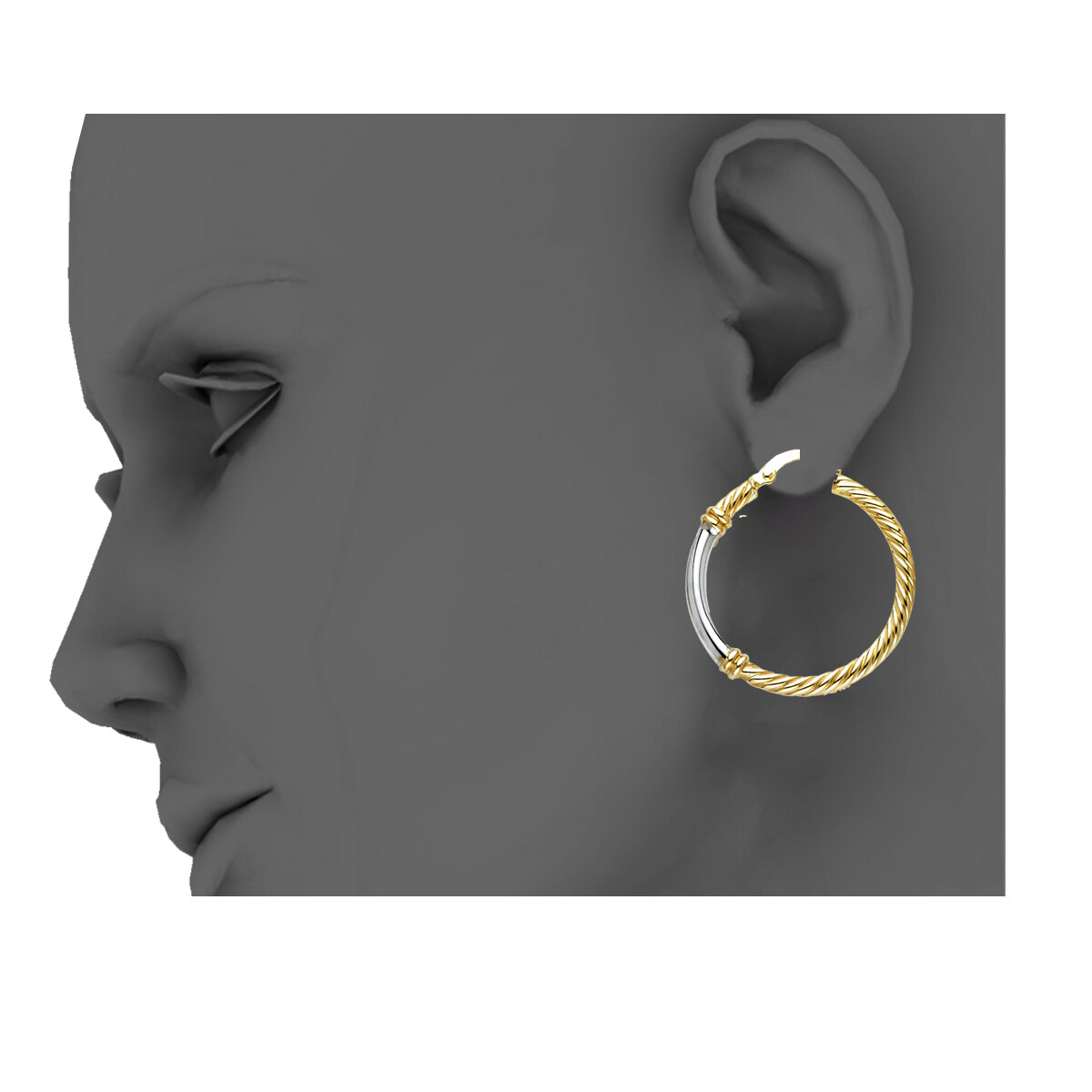 Pre-owned Tgdj 14k Two Tone Gold 2.5mm Rope Hoop Earrings For Women