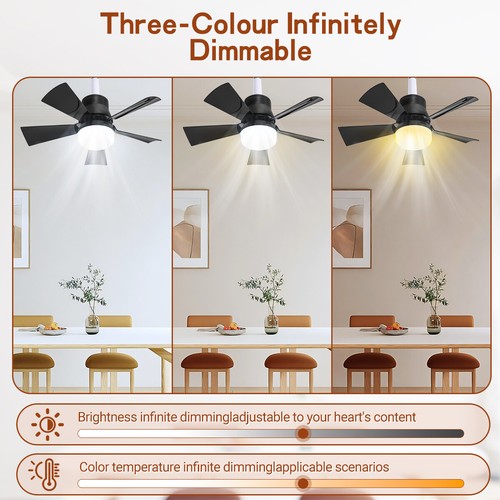 2 In 1 E27 Ceiling Socket Fan 30W with Dimmable LED Light Remote Control 3 Speed