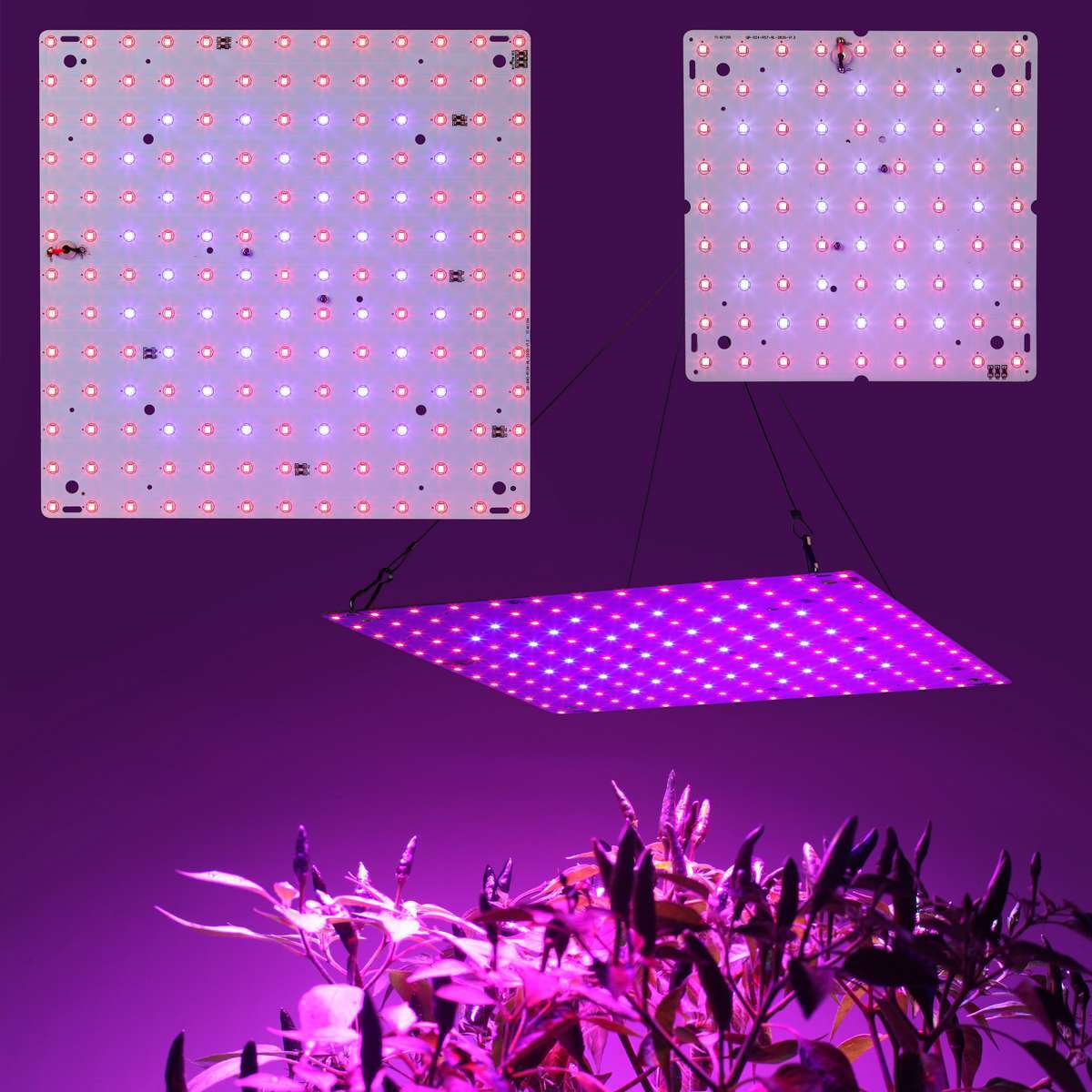 Veg Lamp For Indoor Hydroponic Plant