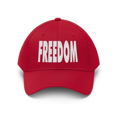 Tin Foil Hat Conspiracy Expert Digital Warrior Unisex Twill Hat